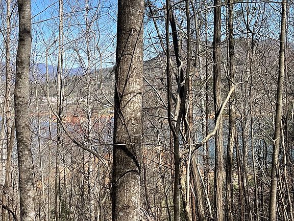 3rd image of Brer Fox Ridge Rd