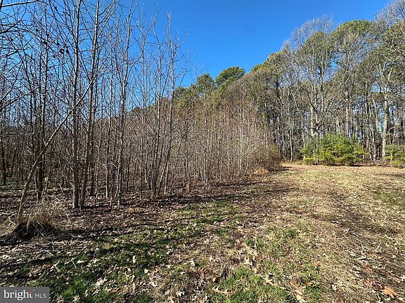 4th image of Cooper Point Rd