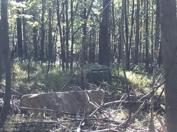 0 Old Railroad Grade Rd, Thurmond, NC 28683