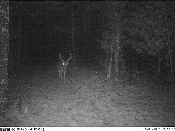 4th image of 396 Bush Road