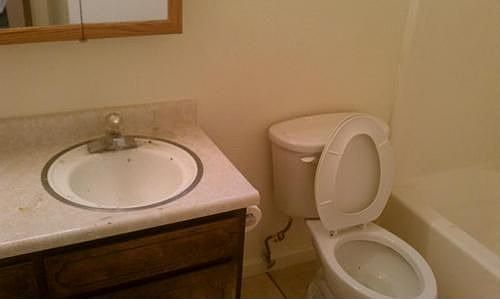 5th image of 2707 Burlington Pl