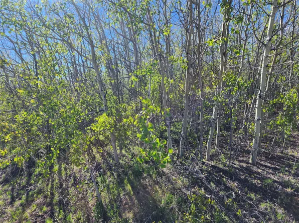 Nhn Alpha Lode & Alpha Fraction Lode Alpha Trl, Anaconda, MT 59711