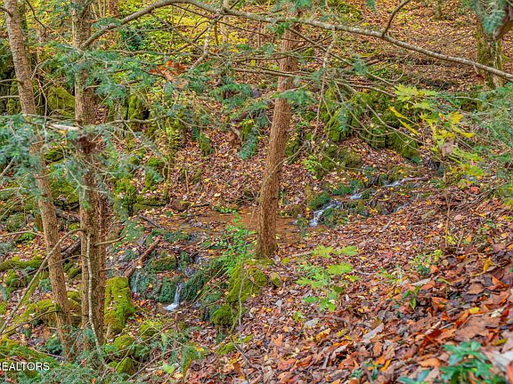 45th image of 205 Tobby Hollow Ln