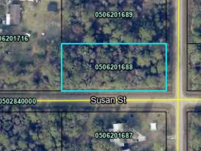 10175 Nikolich Ave, Hastings, FL, 32145
