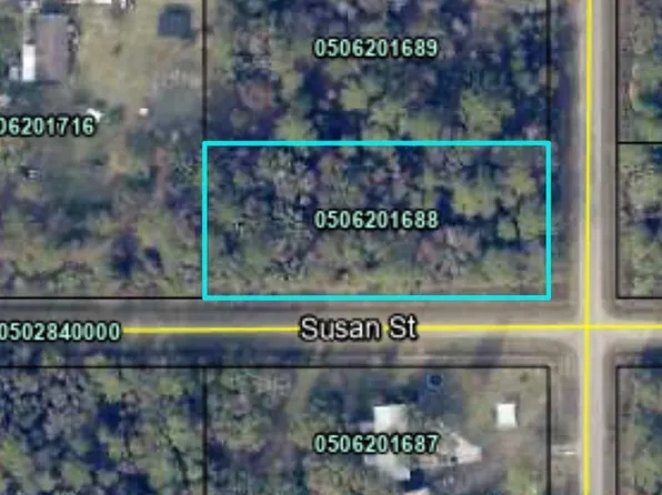 10175 Nikolich Ave, Hastings, FL 32145