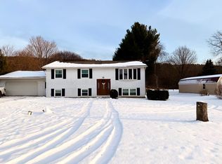 1124 Foster Valley Rd, Owego, NY 13827