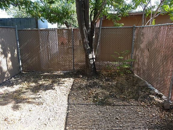 Small back yard