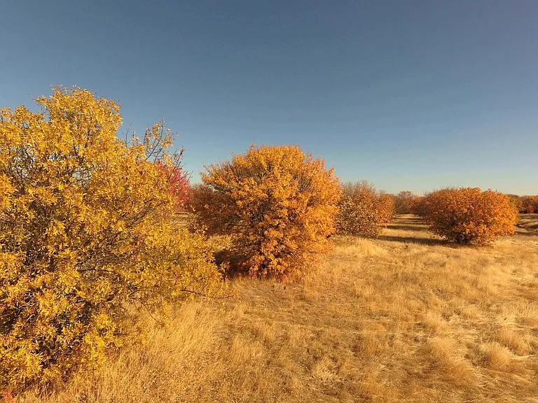 27643 County Road 88 — Photo 10