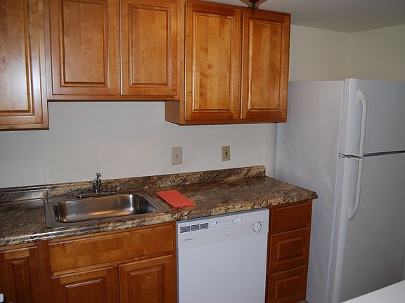 Kitchen - new cabinets, new counter tops and new dish washer