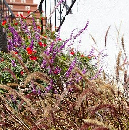 Planter