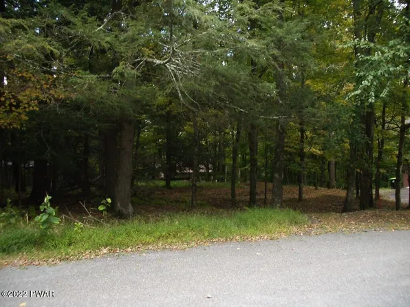 217 Aquarius Ln, Lake Ariel, PA 18436