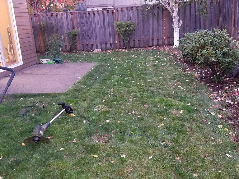 Backyard