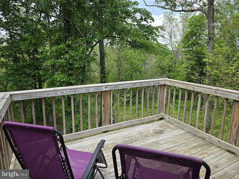 167 Hyde Park Ln — Photo 15