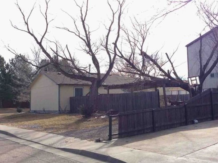 2nd image of 423 Cherry St