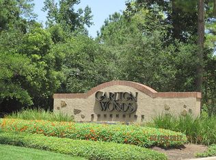 6 Berkley Hall Ct, The Woodlands, TX 77389