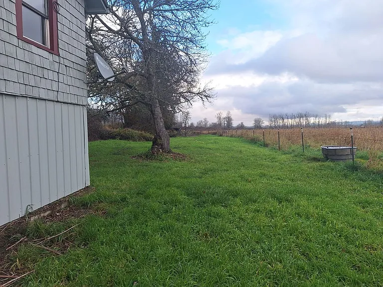 11393 Carver Rd — Photo 3