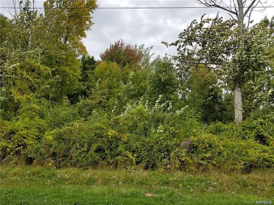 1st image of 0 Roosevelt Hwy