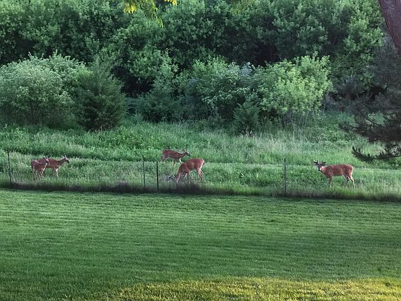 Your rear neighbors!
