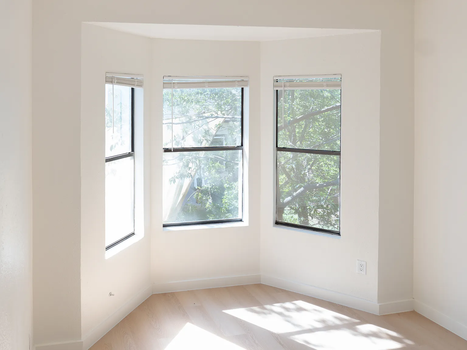2 bed, 904 sqft, $1,350 — Photo 4