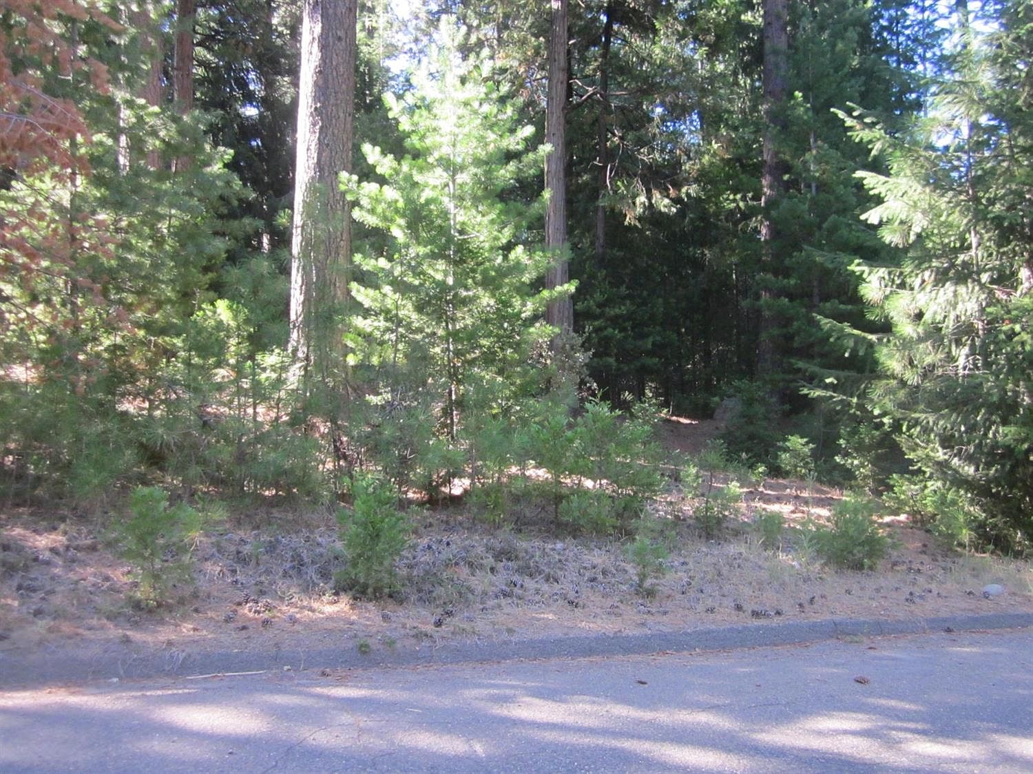 10141 Grizzly Flat Rd, Grizzly Flats, CA 95636 Zillow