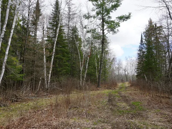 240th Ave, Jacobson, MN 55752