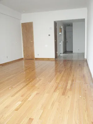 Rented by Blue Star Apartments | media 19