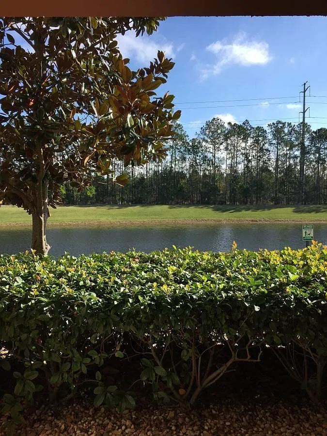 2 bed, 1113 sqft, $995 — Photo 1