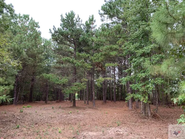 1 County Road 4814, Bloomburg, TX 75556