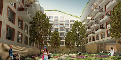 Rented by Bold New York