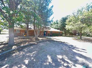 1113 W Connecticut St, Hobbs, NM 88242