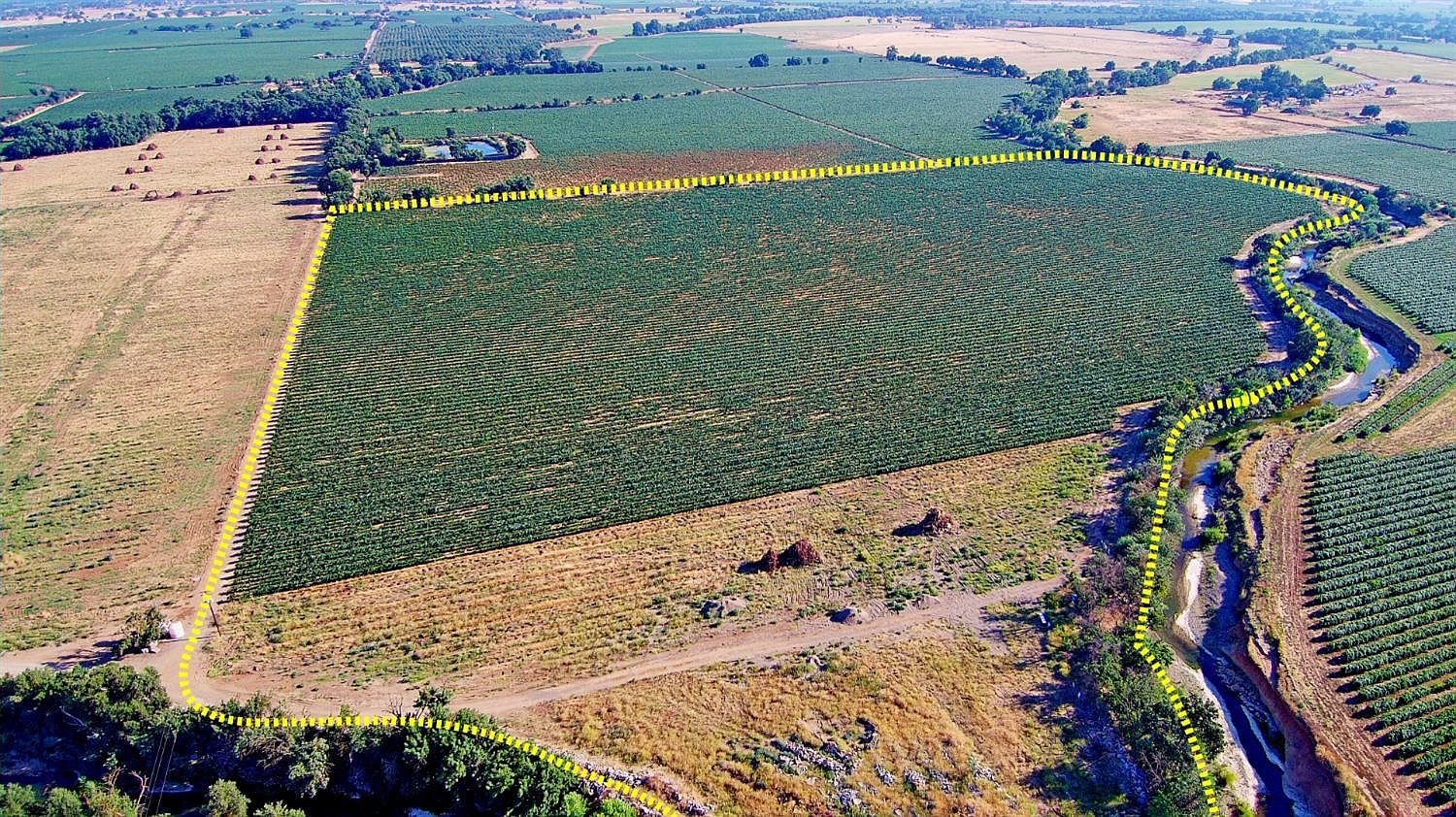 14255 Prouty Rd, Herald, CA 95638 Zillow