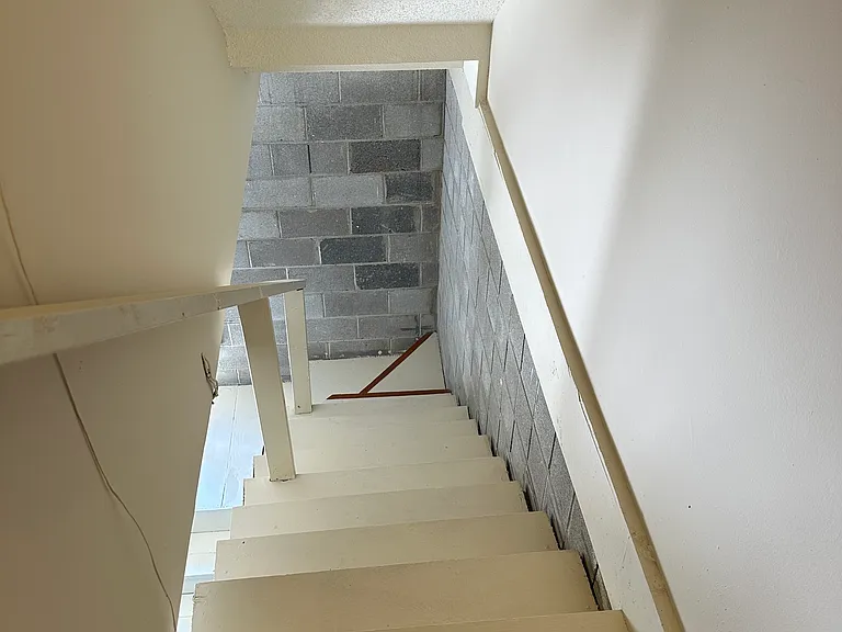Steps to garage