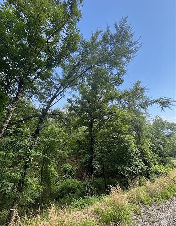 1st image of 132 Western Cedar Trl Lot 59