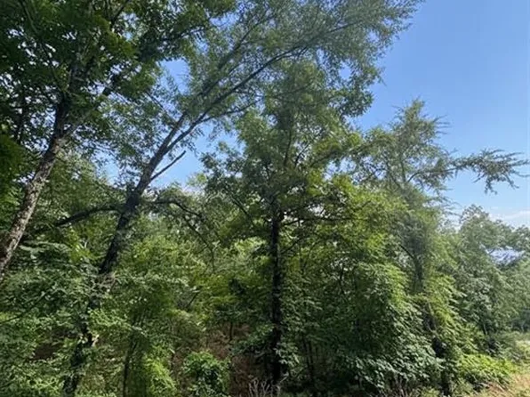 132 Western Cedar Trl Lot 59, Broken Bow, OK 74728