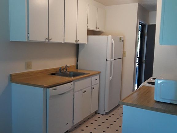 Kitchen , refrigerator and dishwasher