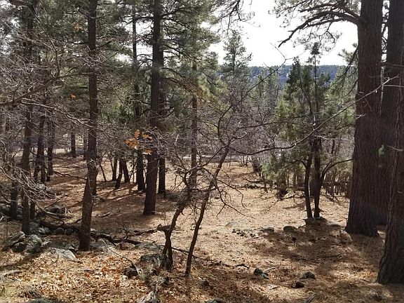 4th image of 9 Ponderosa Dr