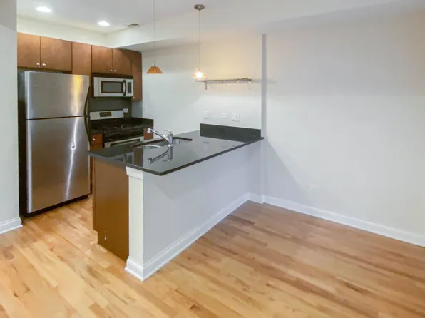 1642 W Grace St APT 2, Chicago, IL 60613