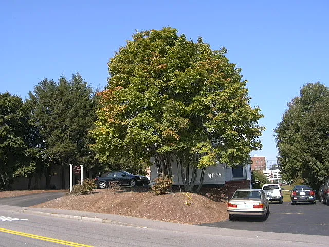 Building from Pleasant Street.