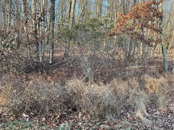 3 Apple Ln #588, Jim Thorpe, PA 18229