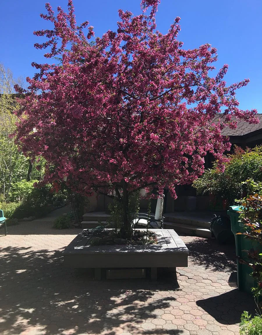Foster Drive, Reno — Photo 2