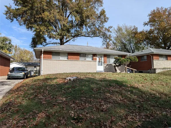 1171 Reale Ave, Saint Louis, MO 63138