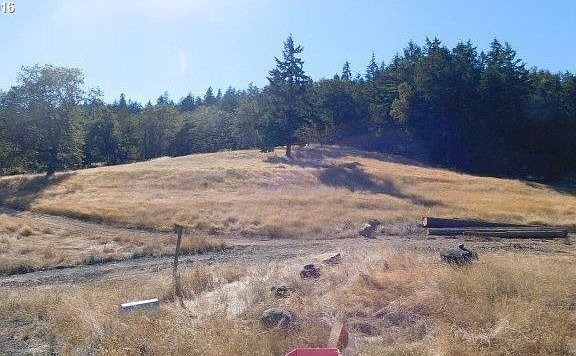 2nd image of 359 Tanglewood Ln