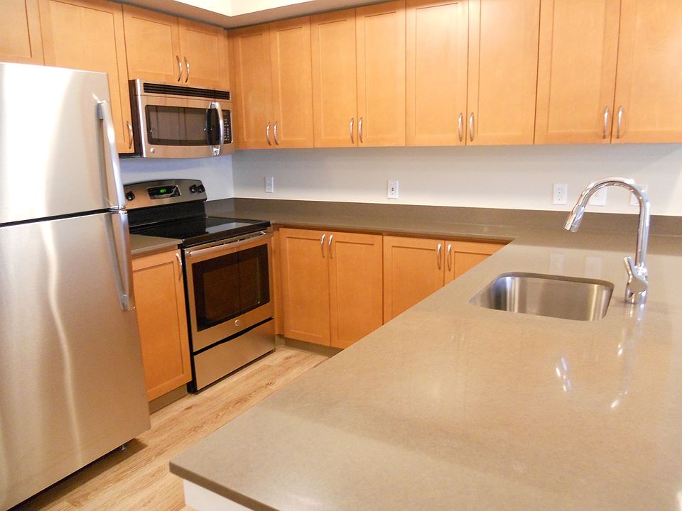 Newly Renovated Kitchen