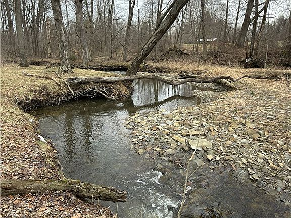 2nd image of 21 Werner Rd