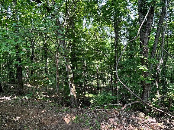 5th image of 103 Kolana Ln