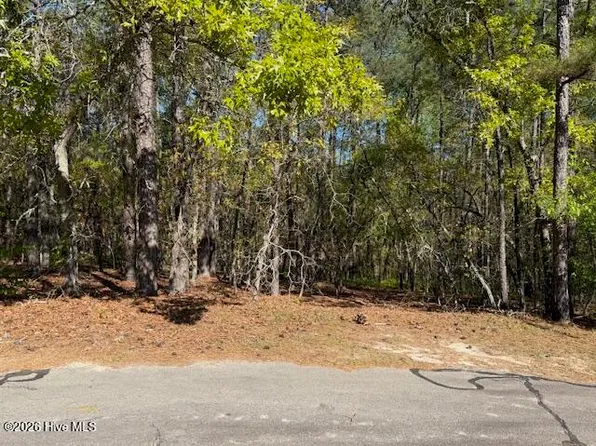 38 Fox Ln Lot 38, Wagram, NC 28396