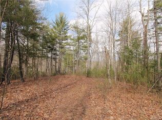 0 Willow Ct, Hendersonville, NC 28739