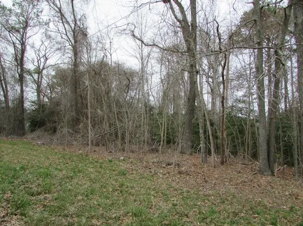 LOT 13 Wallops Millpond Rd, New Church, VA 23415