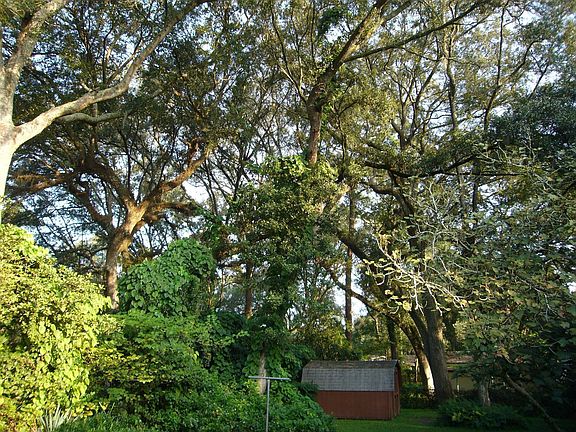 5th image of 1860 Mount Vernon Dr
