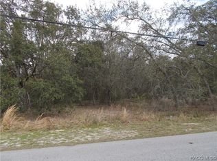 979 W Pearson St, Hernando, FL 34442